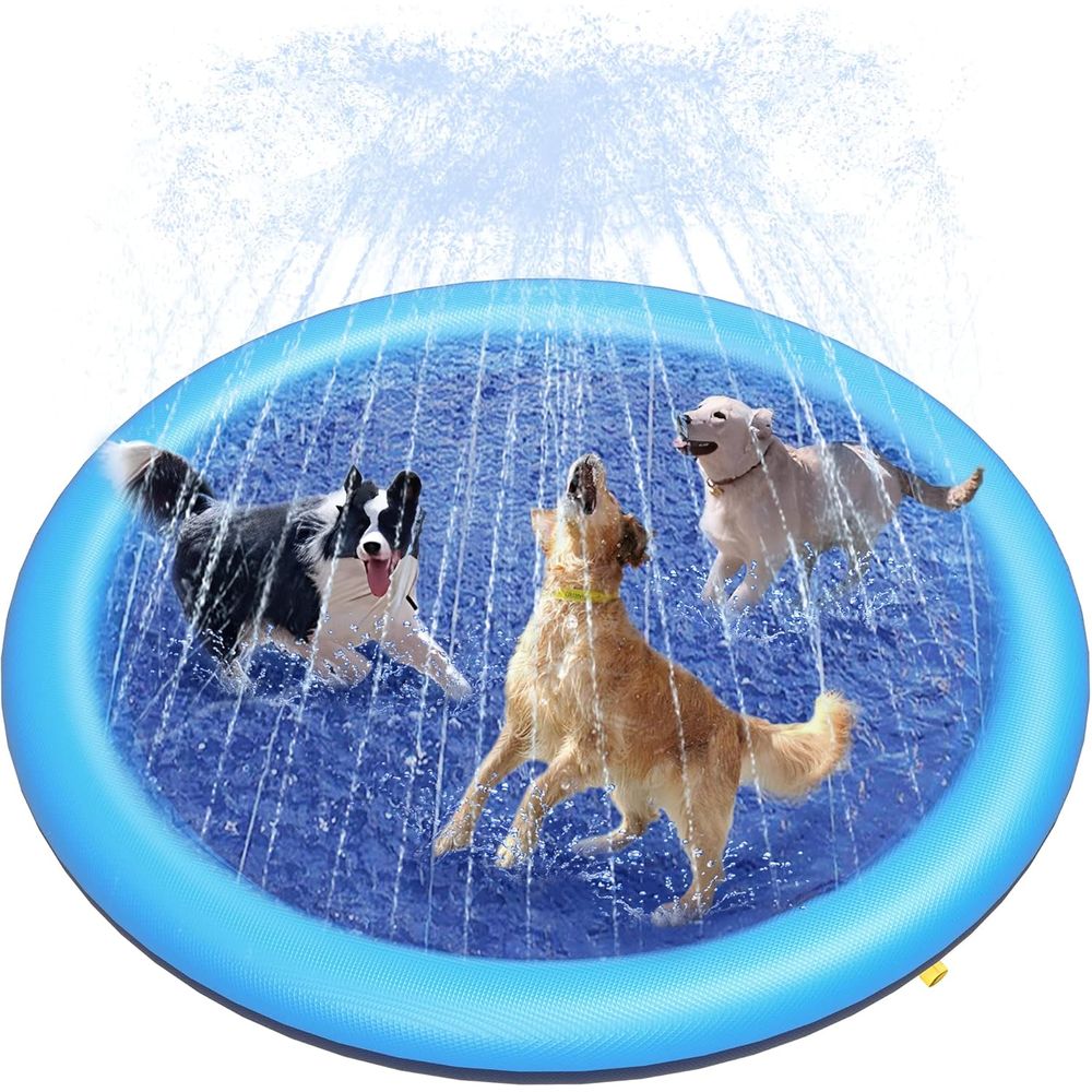 Piscine pour chien antidérapan - Sprinkler Splash Pad avis et prix